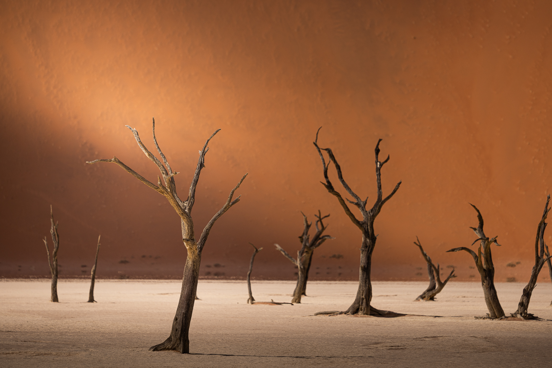 Deadvlei — die toten Bäume