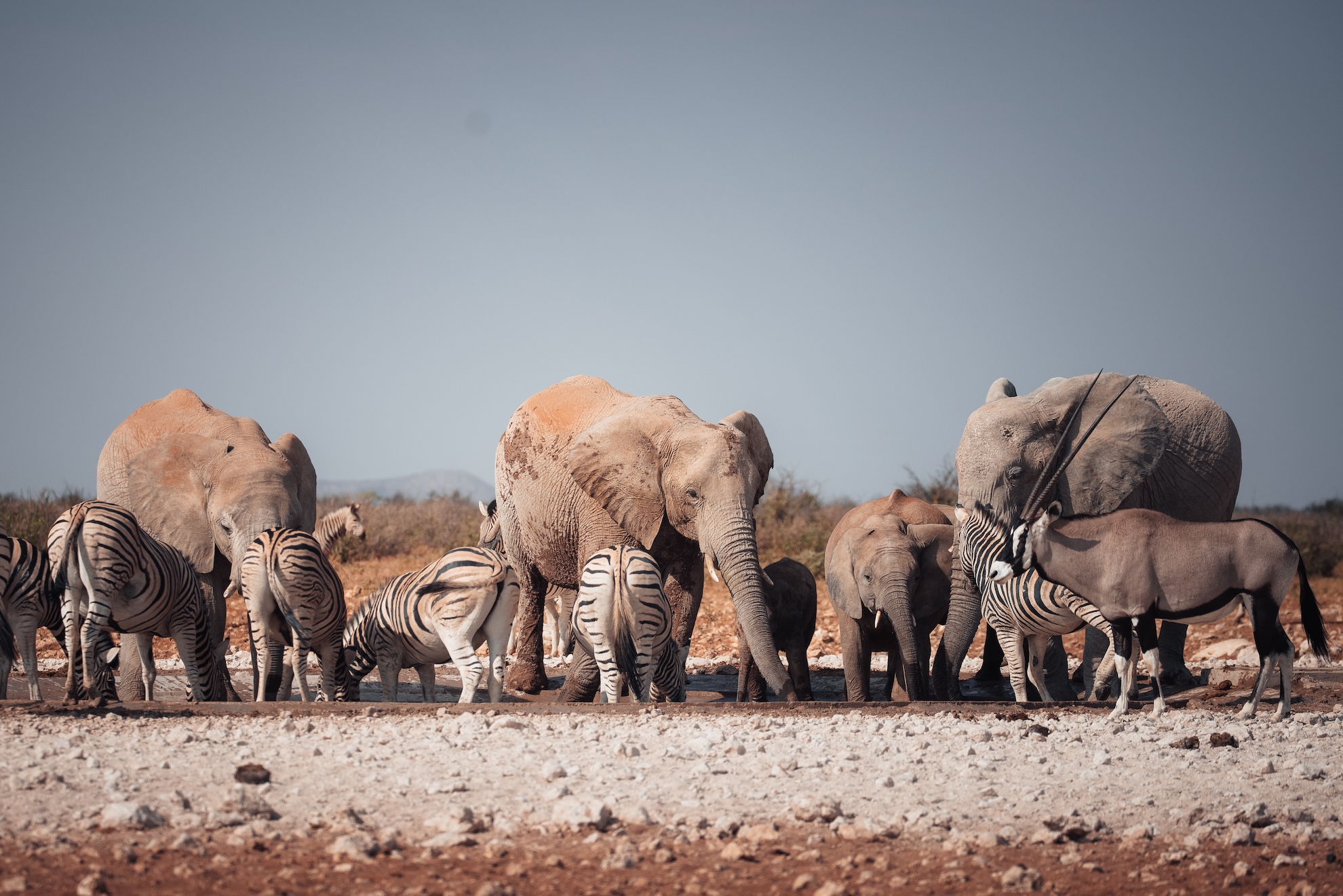 Die Etosha-Pfanne selbst