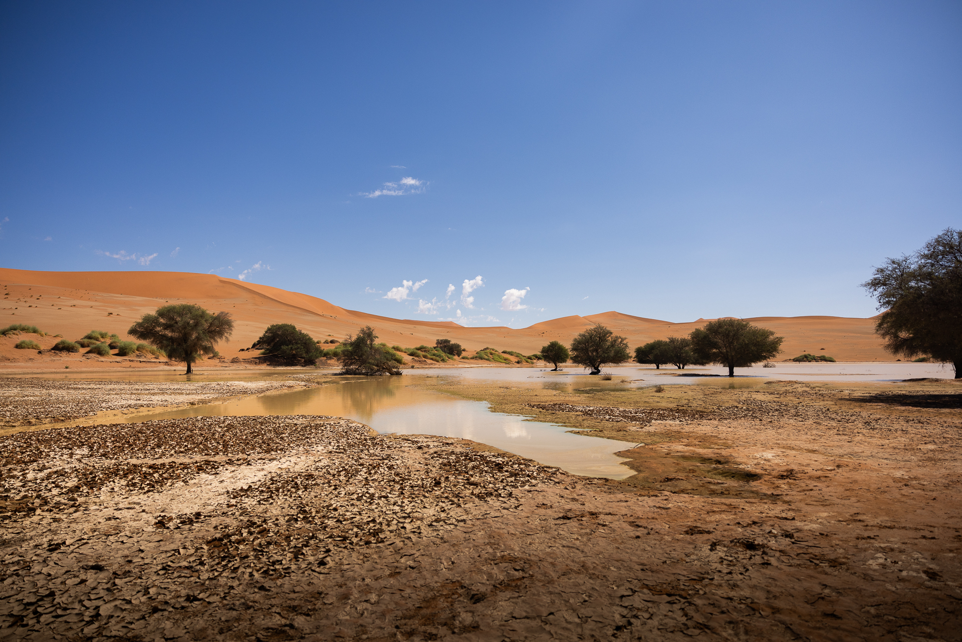 Sossusvlei — die roten Dünen