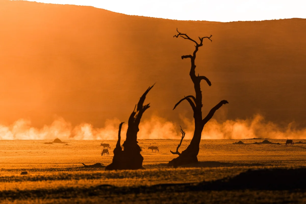 Namibia Selbstfahrer Rundreise - Bild 7