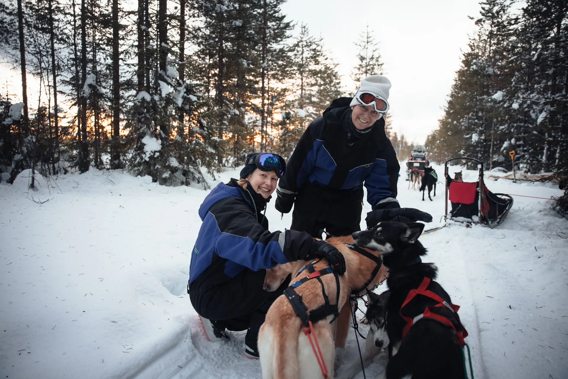 Tag 6: Hundeschlittentour – Iso-Syöte, Finnland