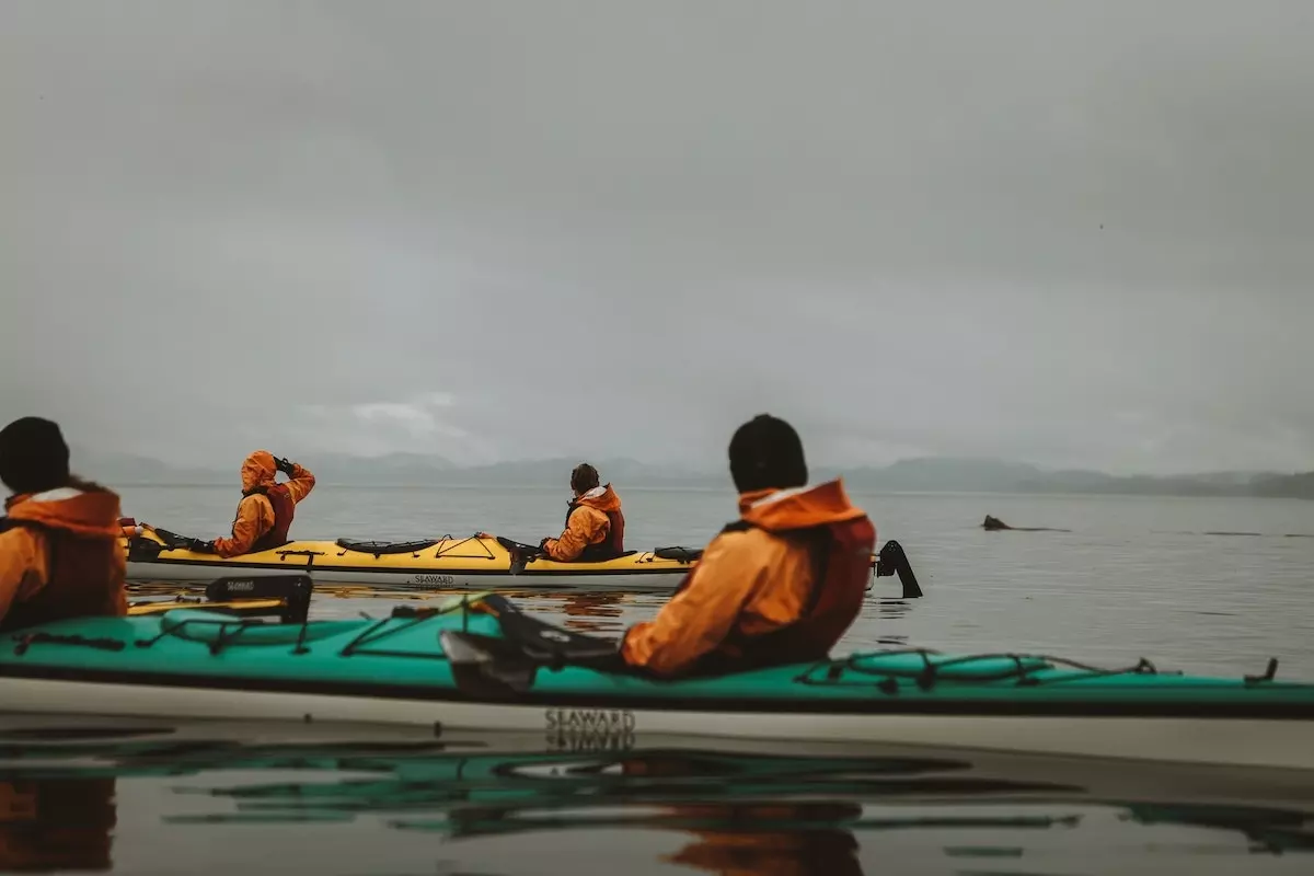 Tag 4: Kajaken mit Orcas – Hanson Island, Kanada – Foto 3
