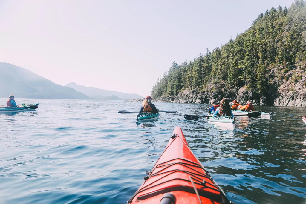 Tag 6: Kajaken mit Orcas – Port McNeil, Kanada
