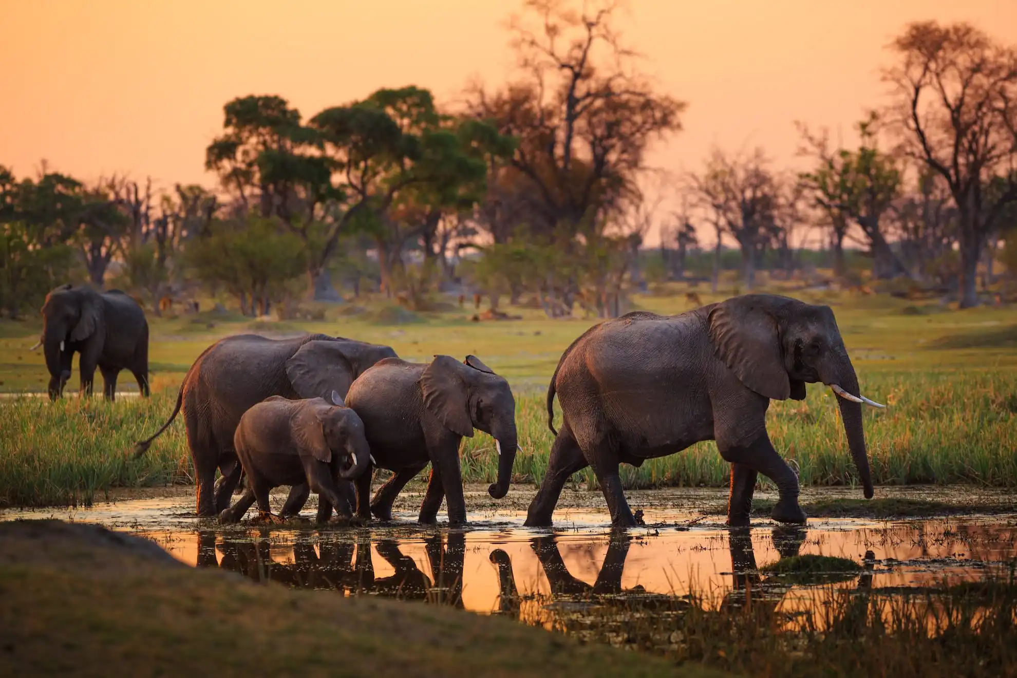 Wilderness Trail Botswana - Bild 8