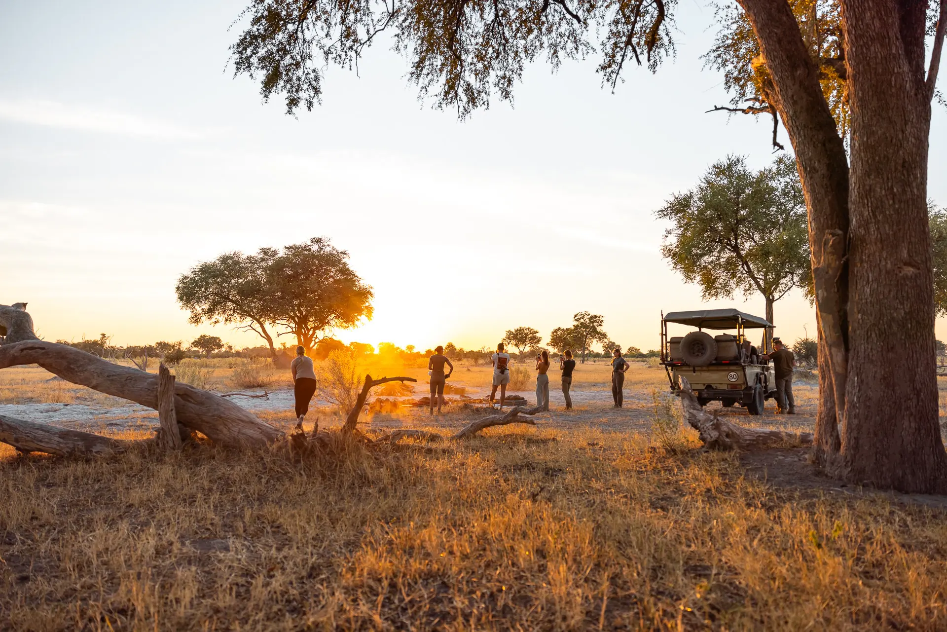 Tag 5: Wilderness Trail – Khwai Schutzgebiet, Botswana – Foto 1