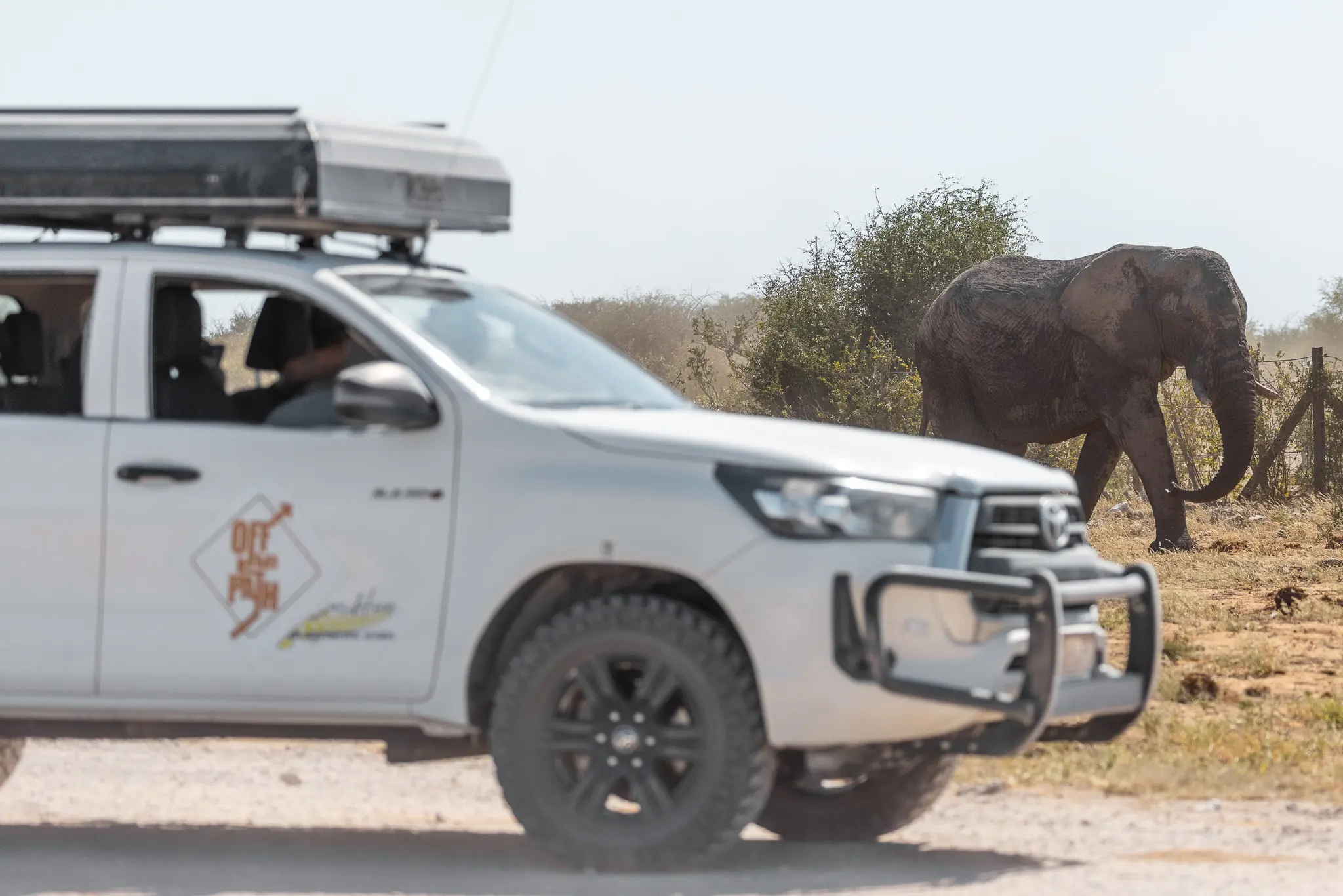 Namibia Selbstfahrer Rundreise - Bild 3