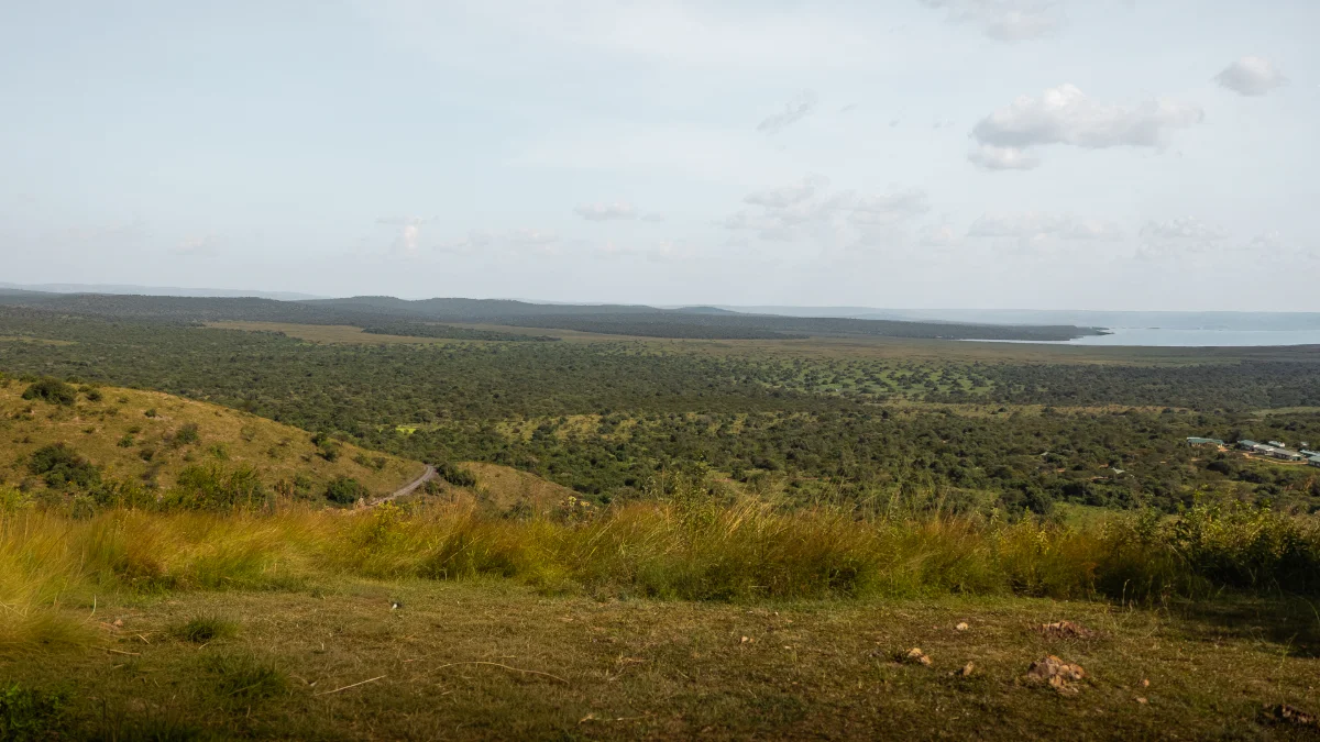 Eagles Nest Lodge