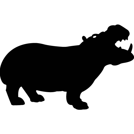 Flusspferde