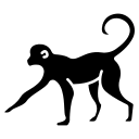 Affen