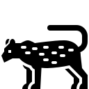 Leoparden
