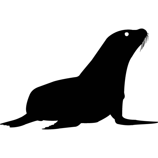 Seelöwen