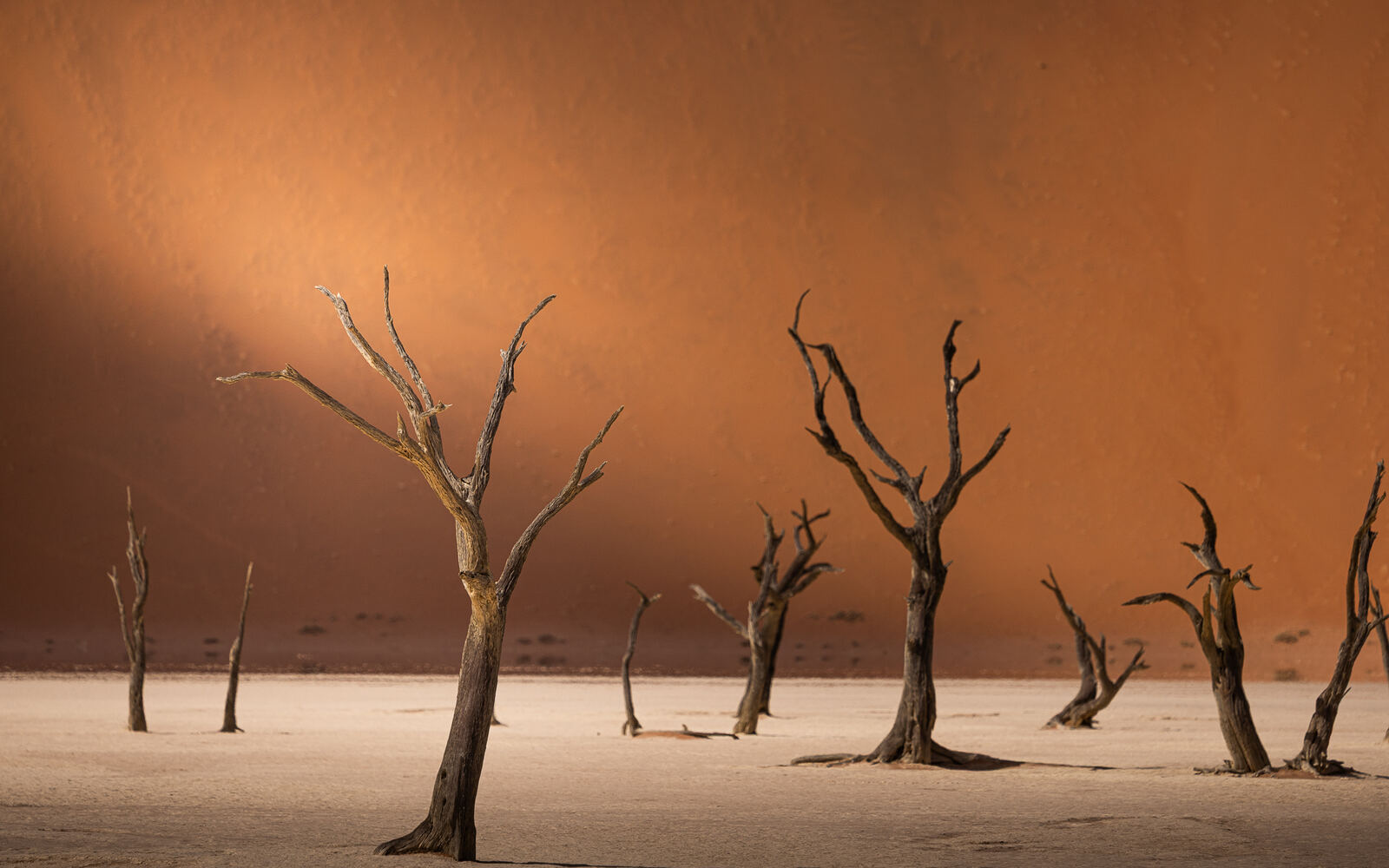 Deadvlei — die toten Bäume