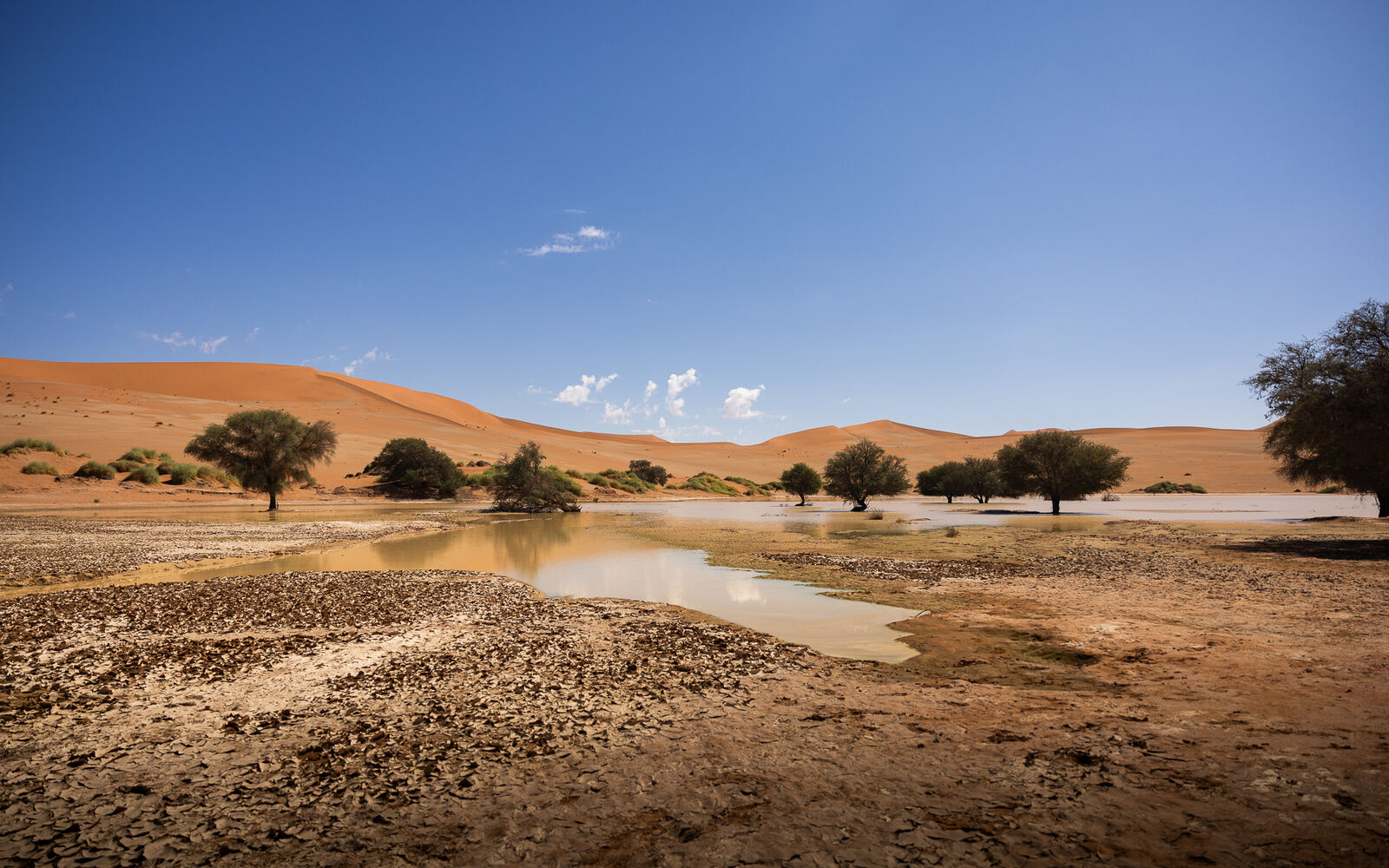 Sossusvlei — die roten Dünen