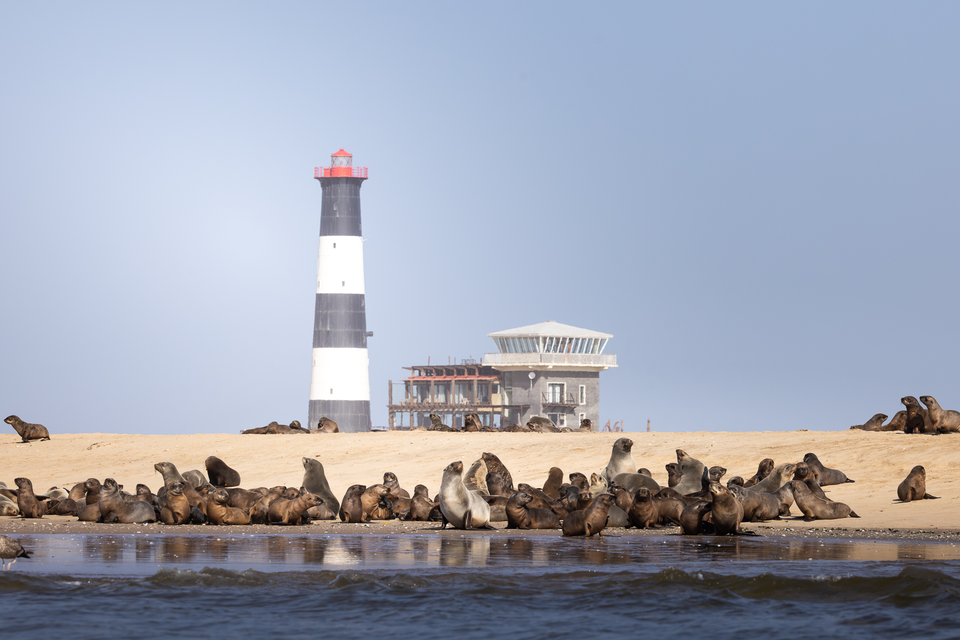 Walvis Bay Kayak (am nächsten Morgen)