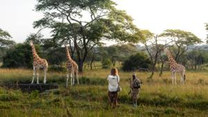 Highlight 6