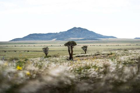 Namibia Selbstfahrer Rundreise – Impression 8