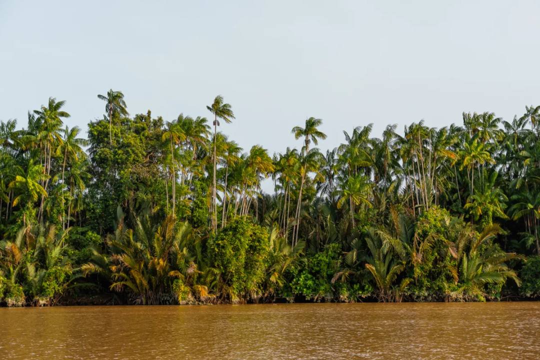 Tag 9: Abschied von Borneo – Sandakan, Malaysia