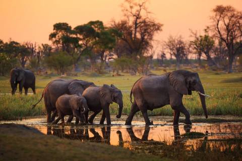 Wilderness Trail Botswana – Impression 8