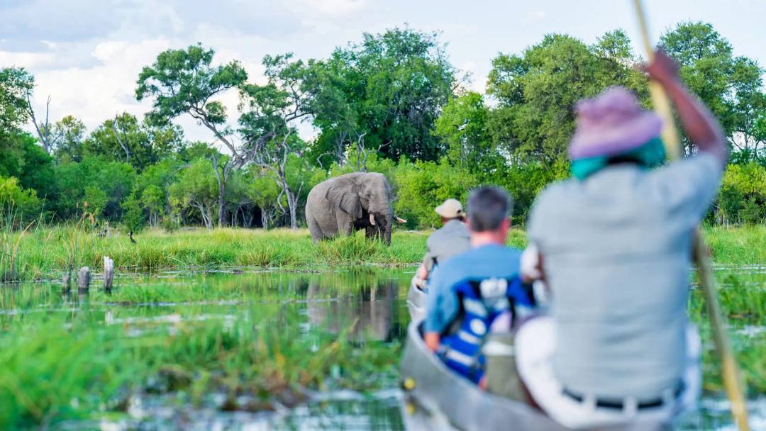 Tag 6: Rückkehr & Mokoro-Abenteuer – Khwai Schutzgebiet, Botswana