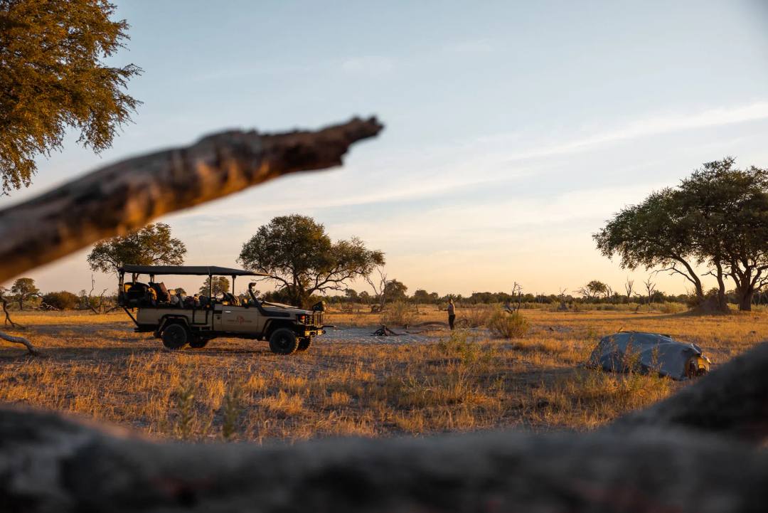 Tag 8: Zurück nach Maun – Maun, Botswana