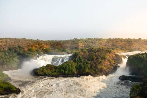 Uganda: Gorillas, Schimpansen & Safari – Impression 4