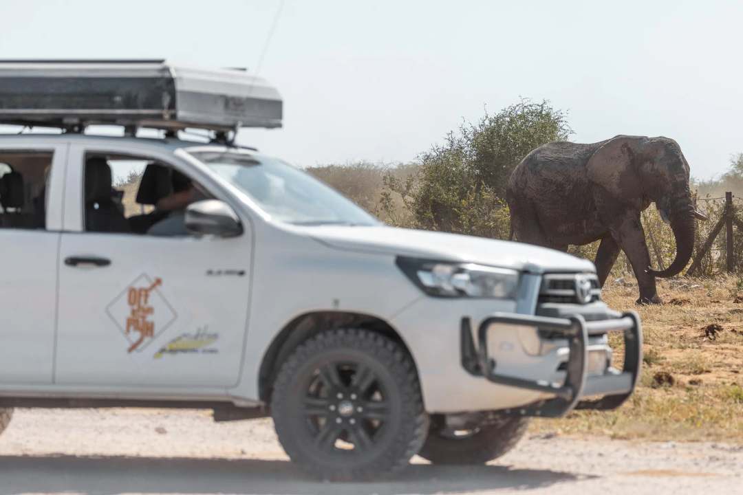 Namibia Selbstfahrer Rundreise - Bild 3