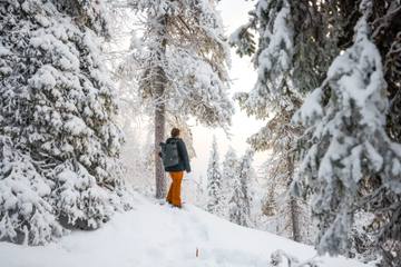 Finnisch Lappland: Huskysafari, Nordlichter und viele weitere Abenteuer - Bild 3