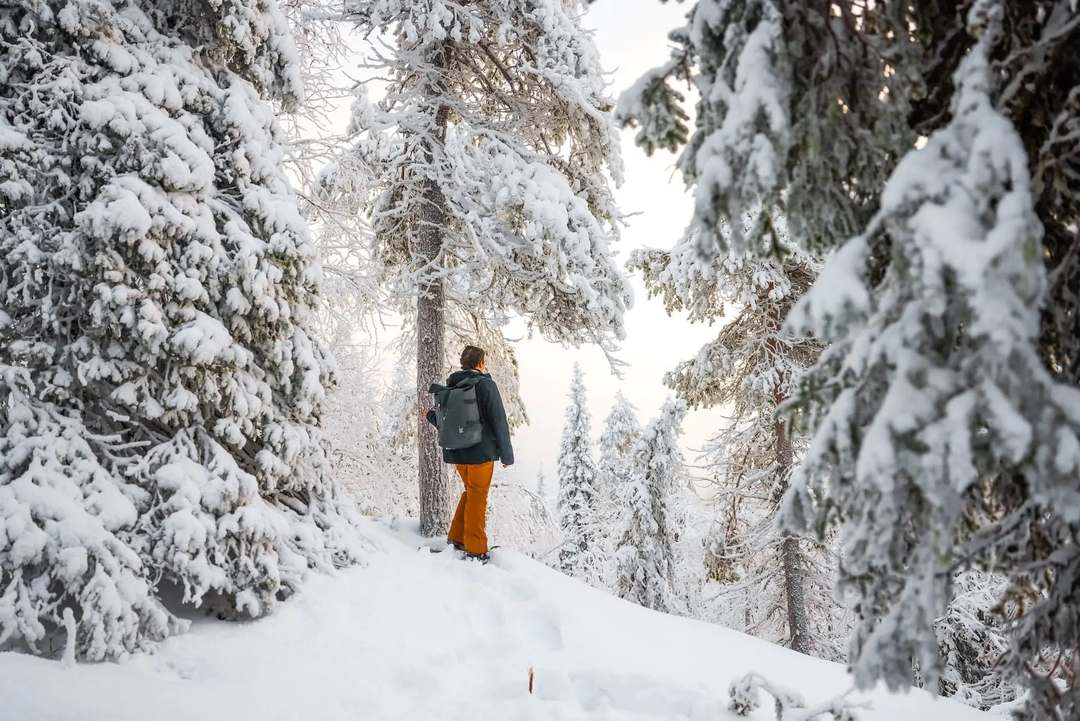 Finnisch Lappland: Huskysafari, Nordlichter und viele weitere Abenteuer - Bild 4