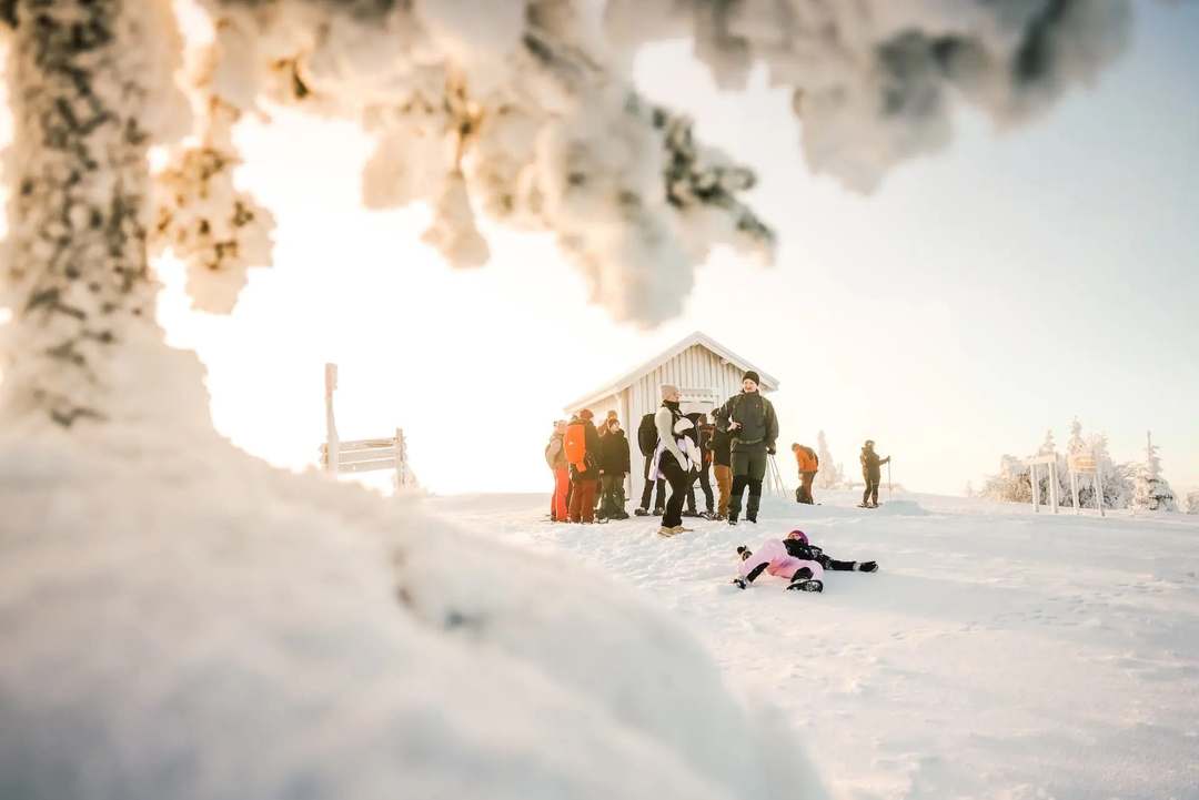Finnisch Lappland: Huskysafari, Nordlichter und viele weitere Abenteuer - Bild 5