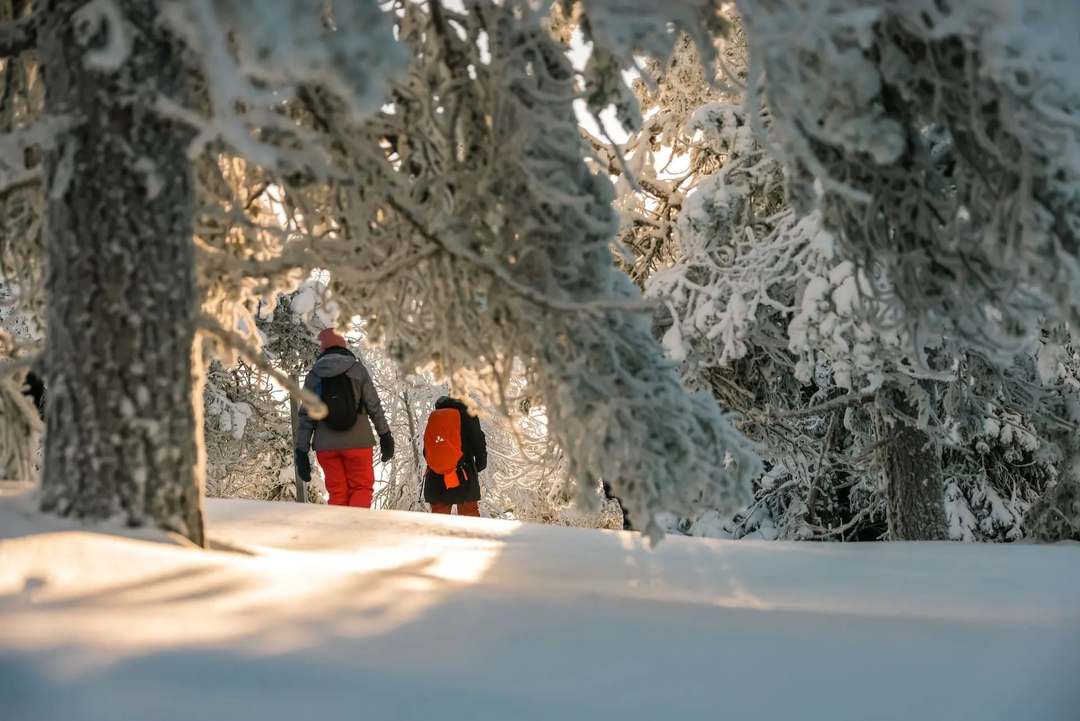 Finnisch Lappland: Huskysafari, Nordlichter und viele weitere Abenteuer - Bild 6