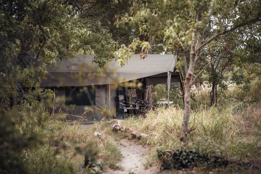 Kwapa Camp – Okavango Delta
