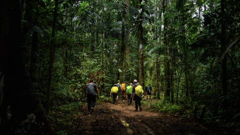 Wildes Grünes Costa Rica – Impression 6