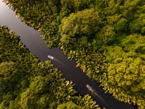 Borneo: Orang-Utans, Nasenaffen & Zwergelefanten – Impression 7