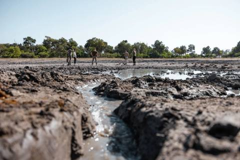 Safari im Okavango Delta in Botswana – Impression 3