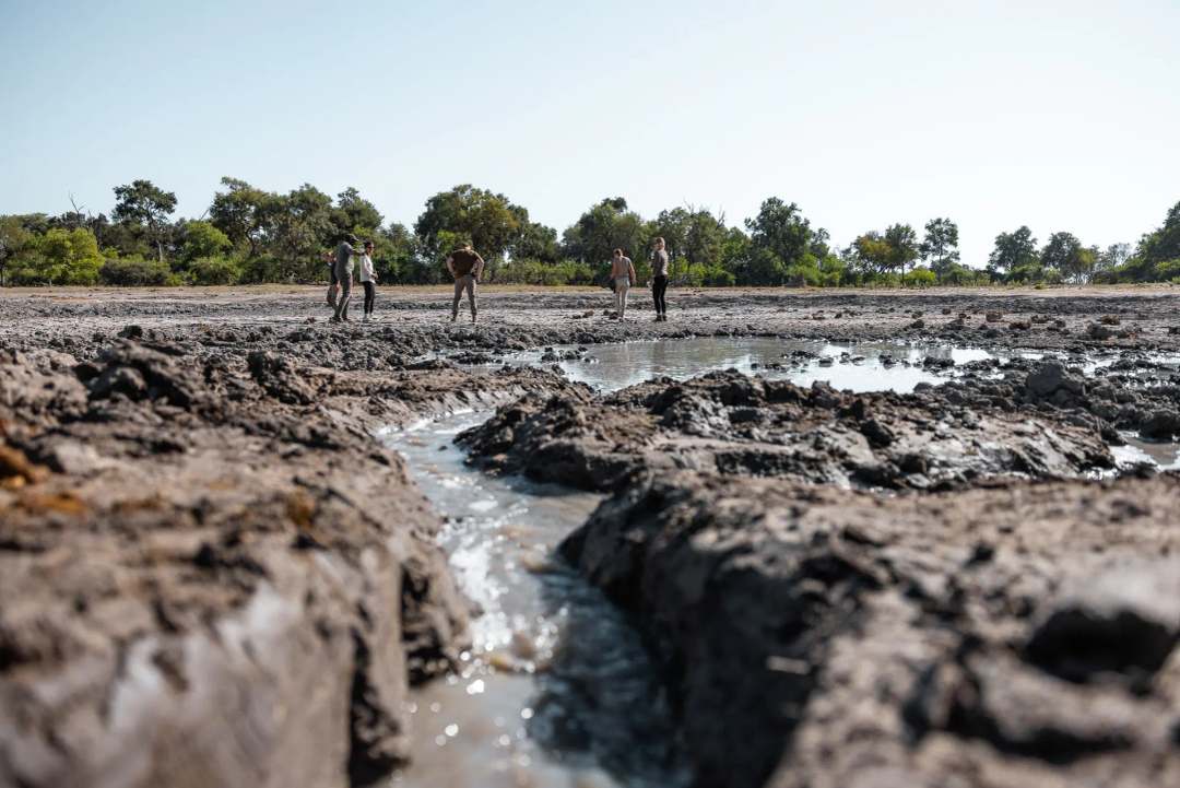 Safari im Okavango Delta in Botswana - Bild 3
