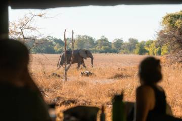 Safari im Okavango Delta in Botswana - Bild 3