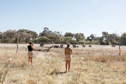 Safari im Okavango Delta in Botswana – Impression 5