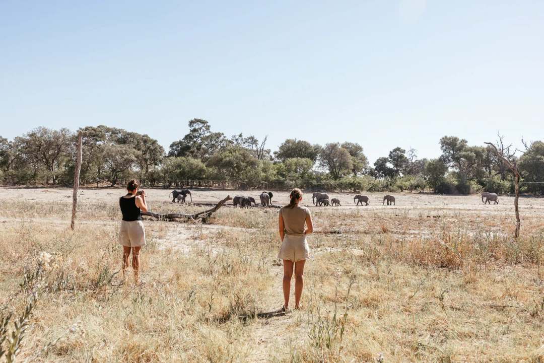 Safari im Okavango Delta in Botswana - Bild 5
