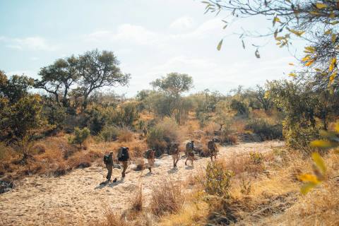 Wilderness Trail Botswana – Impression 5